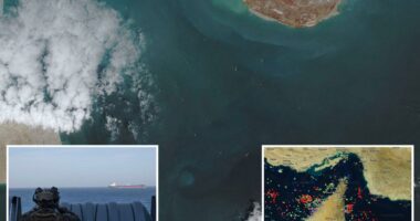 Strait of Hormuz âcompletely openâ as Trump celebrates tumbling oil prices, says Iran removing all sea minesÂ 